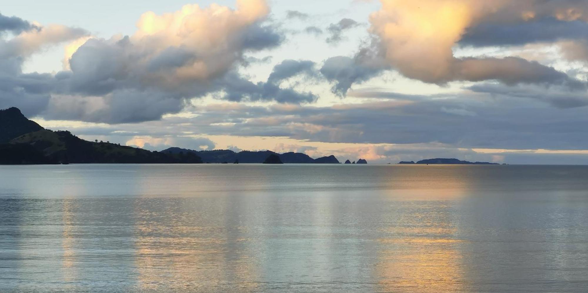 Waterfront Apartments Whitianga Exteriör bild