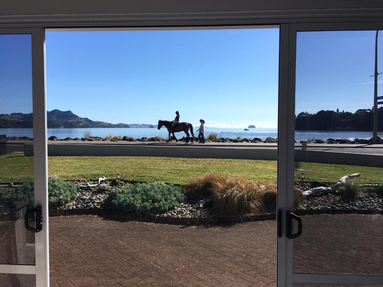Waterfront Apartments Whitianga Exteriör bild